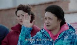 乡村爱情 电视剧,笑谈农家乐，共谱乡村新篇章